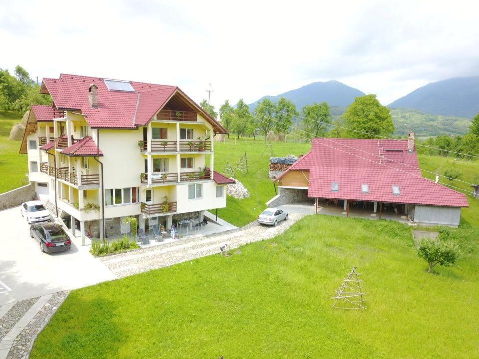 Hotel Pensiunea Tiuta Corbeni Zewnętrze zdjęcie