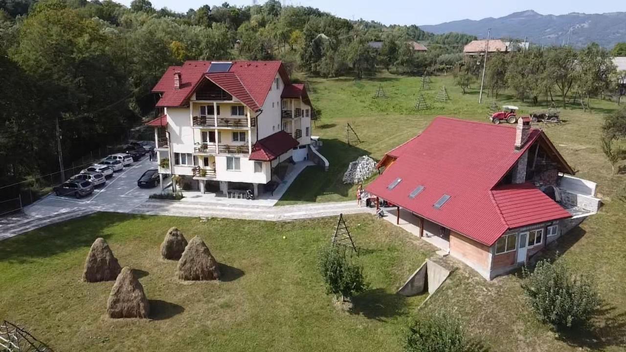 Hotel Pensiunea Tiuta Corbeni Zewnętrze zdjęcie
