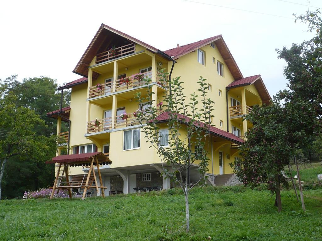 Hotel Pensiunea Tiuta Corbeni Zewnętrze zdjęcie