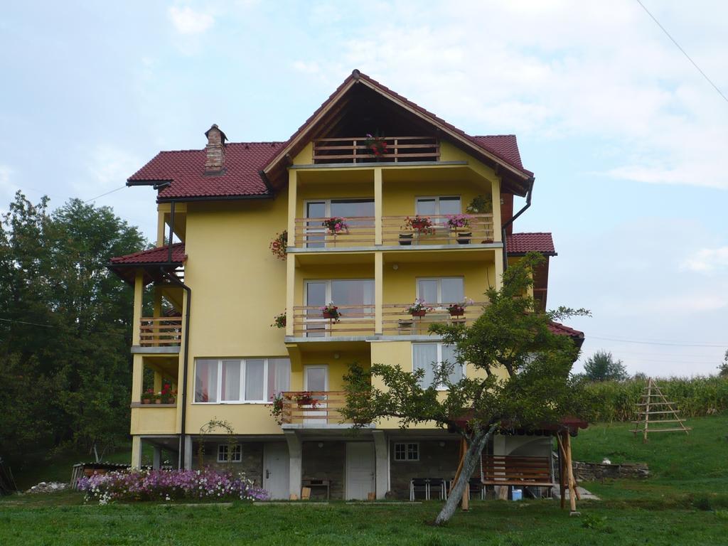 Hotel Pensiunea Tiuta Corbeni Zewnętrze zdjęcie