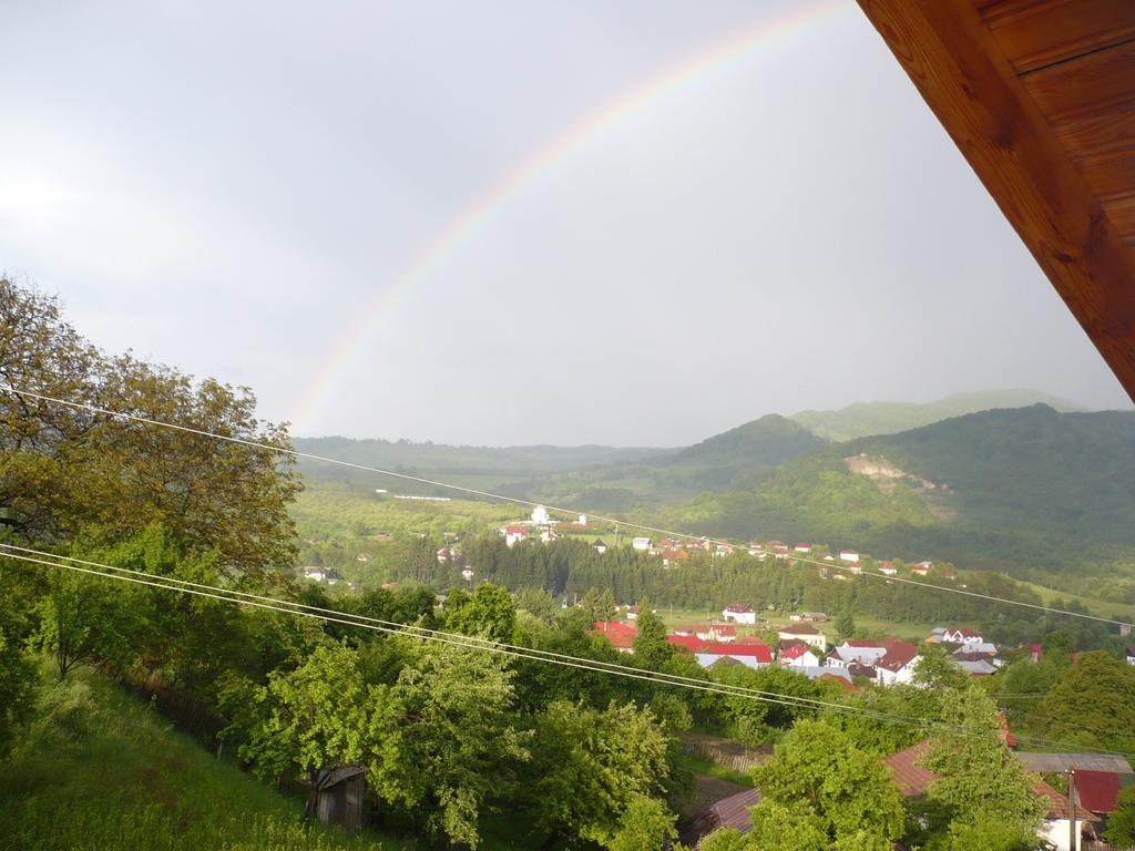 Hotel Pensiunea Tiuta Corbeni Zewnętrze zdjęcie
