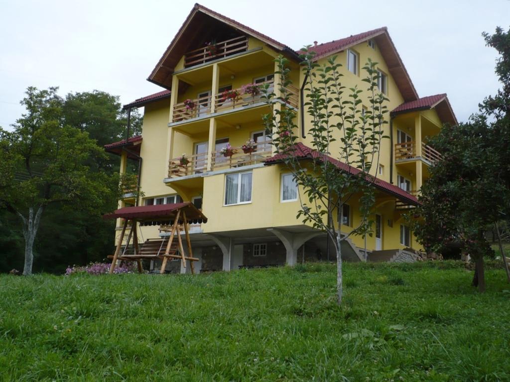 Hotel Pensiunea Tiuta Corbeni Zewnętrze zdjęcie
